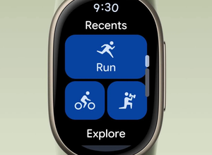 Google Fitbit Edge