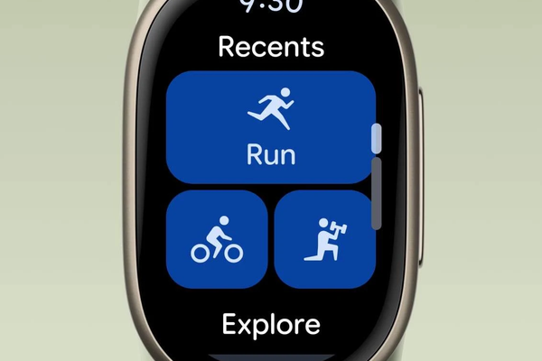 Google Fitbit Edge